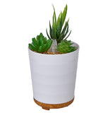 Aromar Abstract Oil Diffuser (Plant #2)