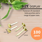 BAZIC 1" Brass-Plated Fasteners (100/Pack), pack of 24