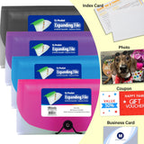 BAZIC 13-Pocket Check Size Poly Expanding File, pack of 24