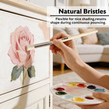 BAZIC Round Natural Bristle Stencil Brush (4/Pack), pack of 24