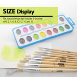 BAZIC Flat Natural Bristle Paint Brush (9/Pack), pack of 12