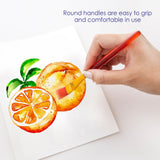 BAZIC Paint Brush w/ Translucent Handle set (7/Pack), pack of 24