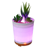 Aromar Abstract Oil Diffuser (Plant #2)