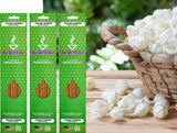 Aromar Hand-Dipped Incense Sticks – Made in USA, Multi-Scent Options, Available in 1, 3, or 6 Packs