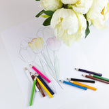 BAZIC 12 Mini Colored Pencils, Set for Art Drawing Sketching, 24-Pack