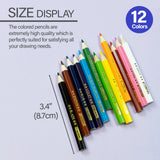 BAZIC 12 Mini Colored Pencils, Set for Art Drawing Sketching, 24-Pack