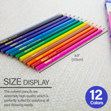 BAZIC Next 12 Colored Pencils, pack of 24
