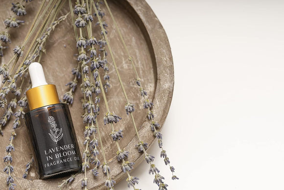 GRANDEUR Premium Grade Fragrance Oil, Extra Long Lasting Aromatic Scent, Relaxing Gifts for Women & Men, Fresh and Revitalizing for Aromatherapy, with Premium Glass Dropper