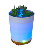 Aromar Abstract Oil Diffuser (Plant #4)
