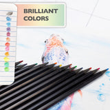12 Colored Pencils, pack of 24