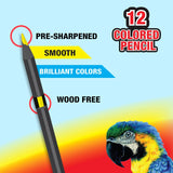 12 Colored Pencils, pack of 24