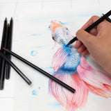 12 Colored Pencils, pack of 24