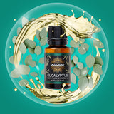 Eucalyptus
