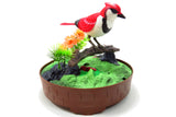 Singing & Chirping Bird in Cage w/ Realistic Sound and Movement